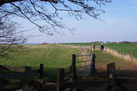 Footpath to beach at East Quantoxhead