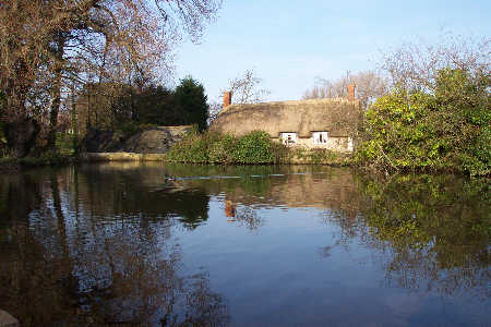 Duck pond at East Quantoxhead