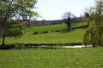 Towards Halswell House from the Temple of Harmony