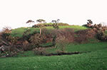 Nether Stowey Castle